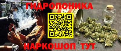 PSILOCYBIN Балахна