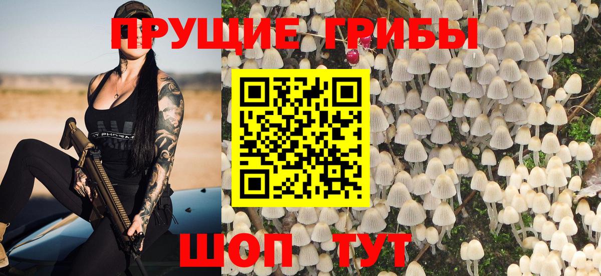 Губаха  Псилоцибиновые грибы GOLDEN TEACHER  Вход с VPN 