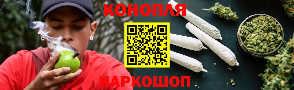 Конопля гибрид Губаха